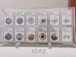 12 Grids Desktop Acrylic Display Case Protective Frame for ANACS/NGC/PCGS Holder