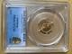 1916 Commemorative Gold $1 Mckinley Memorial Pcgs Ms64 Blazer