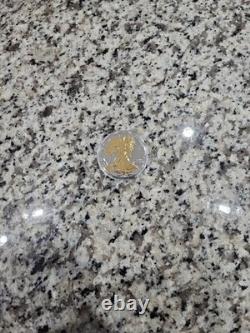1987 Silver Eagle Gold Gild. 9999 Dollar 1oz Coin