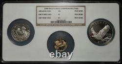 2008 W Bald Eagle Mint Set NGC PF69 ULTRA CAMEO Gold (Almost 1/4 oz AGW) Silver