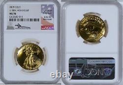 2009 $20 Ultra High Relief Gold Double Eagle NGC MS70 MERCANTI Hand Signed