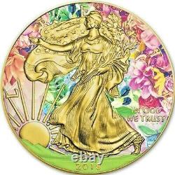 2018 1 Oz Silver $1 SUMMER AMERICAN EAGLE Gilded Colored Coin