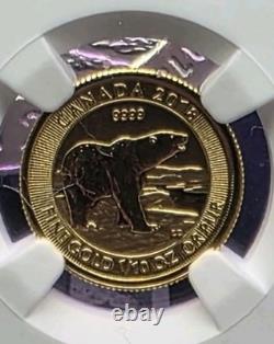 2018 Canadian Gold $5 Polar Bear NGC69 1/10th Fine. 9999 Gold