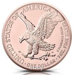 2022 1 Oz Silver $1 SUMMER AMERICAN EAGLE Gilded Colored Coin