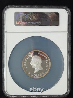 2024 Saint-Gaudens NPF Commemorative Winged Liberty GEM SP 5 oz