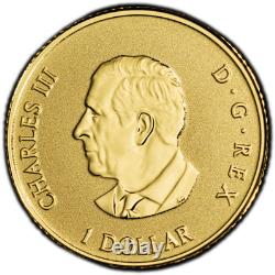 2026 CANADA. 9999 Pure GOLD Bullion $1 Coin ARBOREAL EMBLEM PCGS PR69