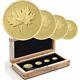 Canada 2013 Pure Gold Maple Leaf 4 Coin Gml Fractional Set Mintage 600