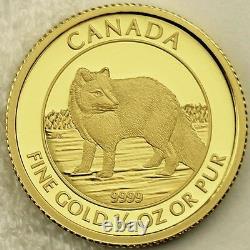 Canada 2014 $10 Arctic Fox 99.99% Pure Gold Proof Uncirculated Numismatic Coin