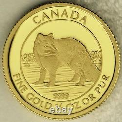 Canada 2014 $10 Arctic Fox 99.99% Pure Gold Proof Uncirculated Numismatic Coin