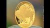 Commemorative Gold Collectors Buffalo 50 Bill