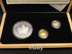 1979-1989 Canada Commémorative Ensemble Feuille D'érable Coins Or Argent Platine