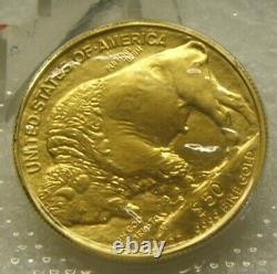 2007 American Buffalo 1 Oz Gold Coin Original U.s. Mint Cello Packaging (en Édition 2007)