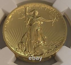 2009 Pièce d'or Double Aigle Ultra Relief de 20 $ NGC MS69 PL - Preuve semblable
