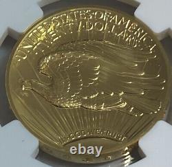 2009 Pièce d'or Double Aigle Ultra Relief de 20 $ NGC MS69 PL - Preuve semblable
