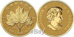 2012 Gold'maple Feuille Forever ' 1/10 Oz 5 $ Pure Gold Coin. 9999 Fin