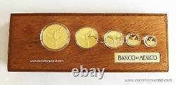 2013 Mexique Mexicain Libertad 5 Coin Proof Gold Set Box - Coa Banco De Mexico