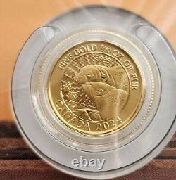 2024 Les majestueux Ours Polaires 1/10 Oz Or de la Monnaie Royale Canadienne, Pièce impressionnante