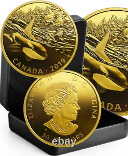 Orca & Sea Lions 2019 30 $ 2oz Pure Silver Proof Coin Canada Predator Prey Golden