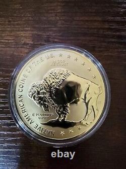 Pièces commémoratives américaines autochtones plaquées or 24 carats (3)