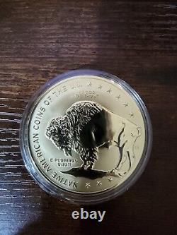 Pièces commémoratives américaines autochtones plaquées or 24 carats (3)