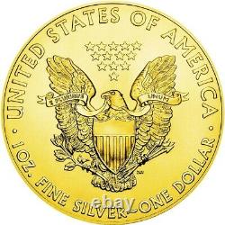Zone 51 des États-Unis OVNI ALIEN American Silver Eagle 2019 Marche Liberté Dollar $1 Pièce